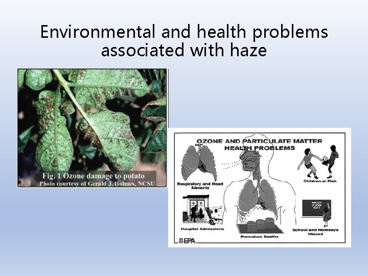 Environmental and health problems associated with haze 