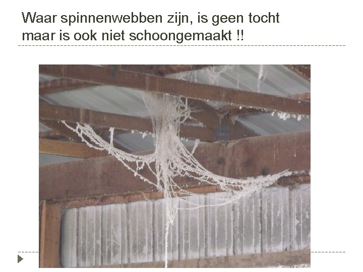 Waar spinnenwebben zijn, is geen tocht maar is ook niet schoongemaakt !! 