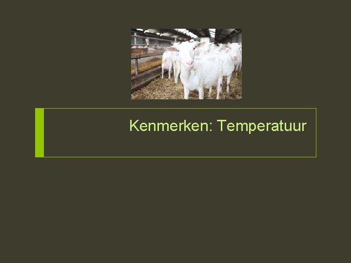 Kenmerken: Temperatuur 