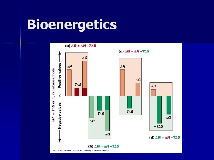 Bioenergetics 