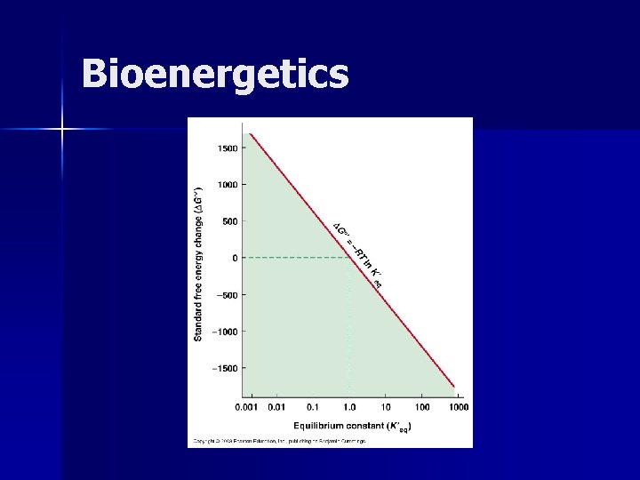 Bioenergetics 