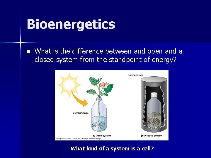 Bioenergetics n What is the difference between and open and a closed system from