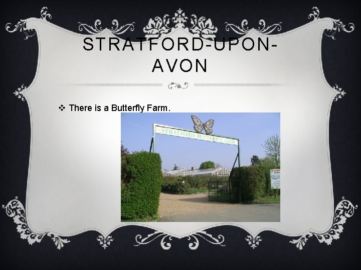 STRATFORD-UPONAVON v There is a Butterfly Farm. 