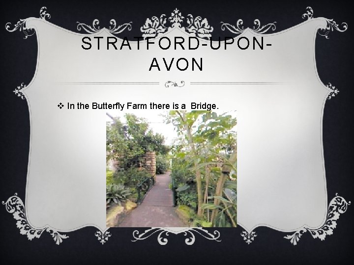STRATFORD-UPONAVON v In the Butterfly Farm there is a Bridge. 