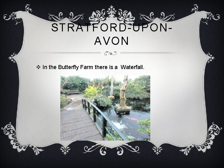 STRATFORD-UPONAVON v In the Butterfly Farm there is a Waterfall. 