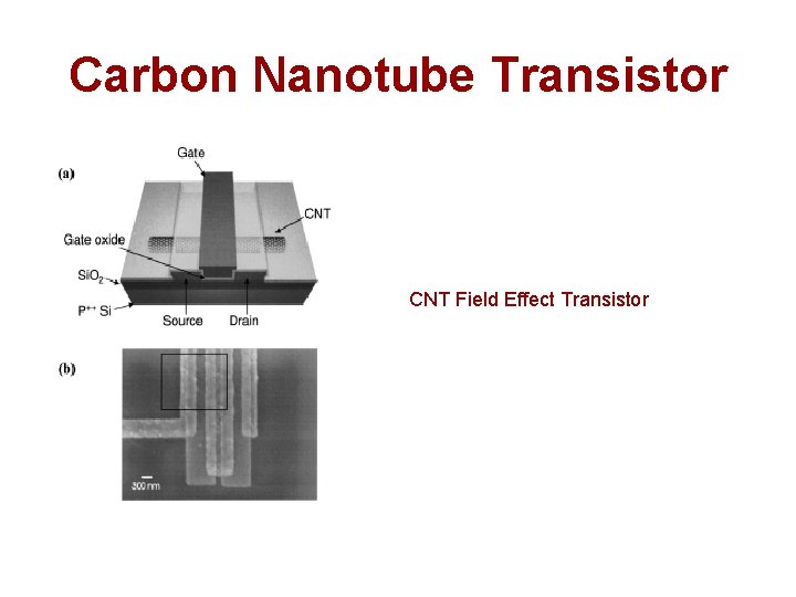 Carbon Nanotube Transistor CNT Field Effect Transistor Carbon Nanotube Transistor CNT Field Effect Transistor