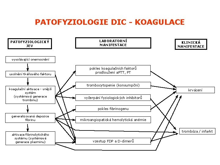 PATOFYZIOLOGIE DIC - KOAGULACE PATOFYZIOLOGICKÝ JEV LABORATORNÍ MANIFESTACE KLINICKÁ MANIFESTACE vyvolávající onemocnění uvolnění tkáňového