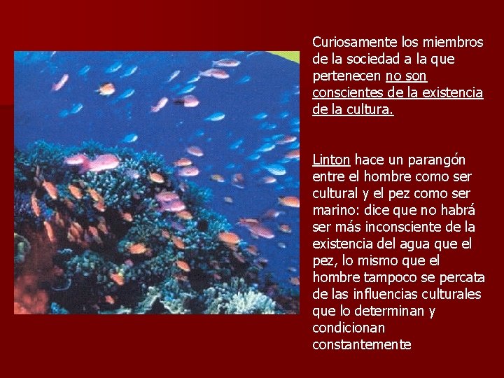 Curiosamente los miembros de la sociedad a la que pertenecen no son conscientes de Curiosamente los miembros de la sociedad a la que pertenecen no son conscientes de