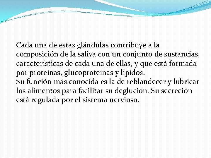 Cada una de estas glándulas contribuye a la composición de la saliva con un