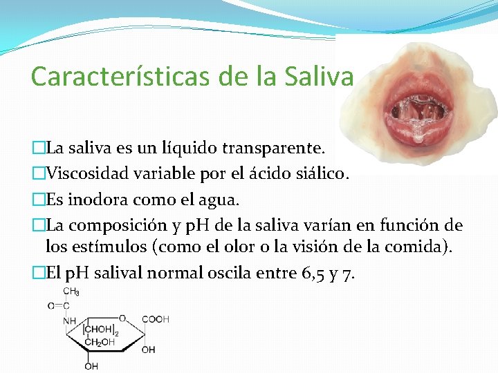 Características de la Saliva �La saliva es un líquido transparente. �Viscosidad variable por el