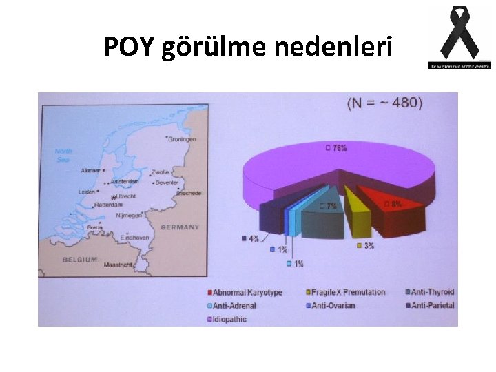 POY görülme nedenleri 