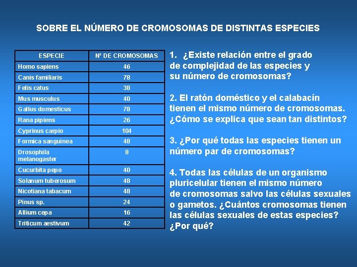 SOBRE EL NÚMERO DE CROMOSOMAS DE DISTINTAS ESPECIE Nº DE CROMOSOMAS Homo sapiens 46