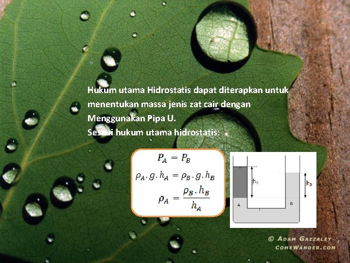 Hukum utama Hidrostatis dapat diterapkan untuk menentukan massa jenis zat cair dengan Menggunakan Pipa
