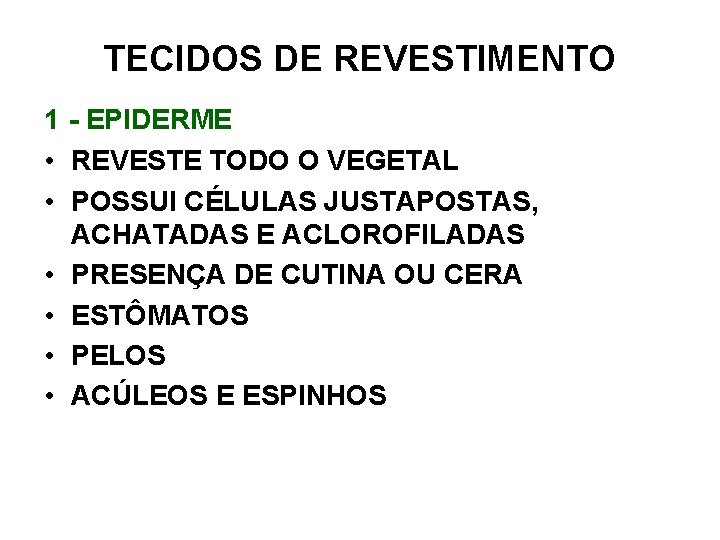 TECIDOS DE REVESTIMENTO 1 - EPIDERME • REVESTE TODO O VEGETAL • POSSUI CÉLULAS TECIDOS DE REVESTIMENTO 1 - EPIDERME • REVESTE TODO O VEGETAL • POSSUI CÉLULAS