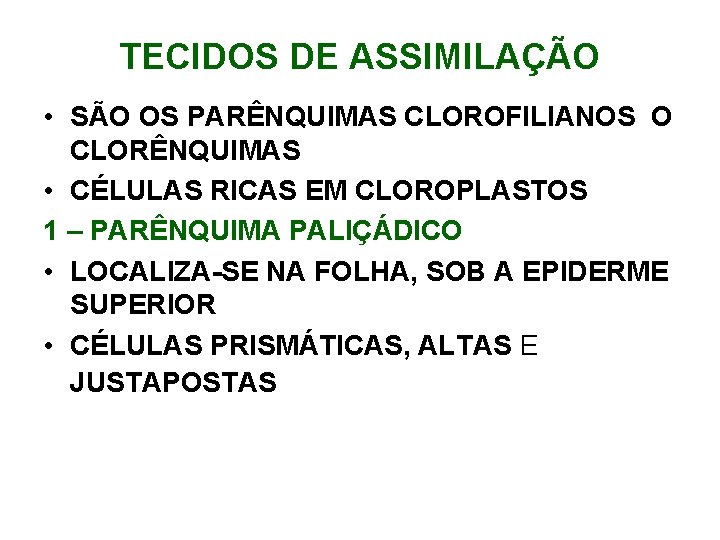TECIDOS DE ASSIMILAÇÃO • SÃO OS PARÊNQUIMAS CLOROFILIANOS O CLORÊNQUIMAS • CÉLULAS RICAS EM TECIDOS DE ASSIMILAÇÃO • SÃO OS PARÊNQUIMAS CLOROFILIANOS O CLORÊNQUIMAS • CÉLULAS RICAS EM