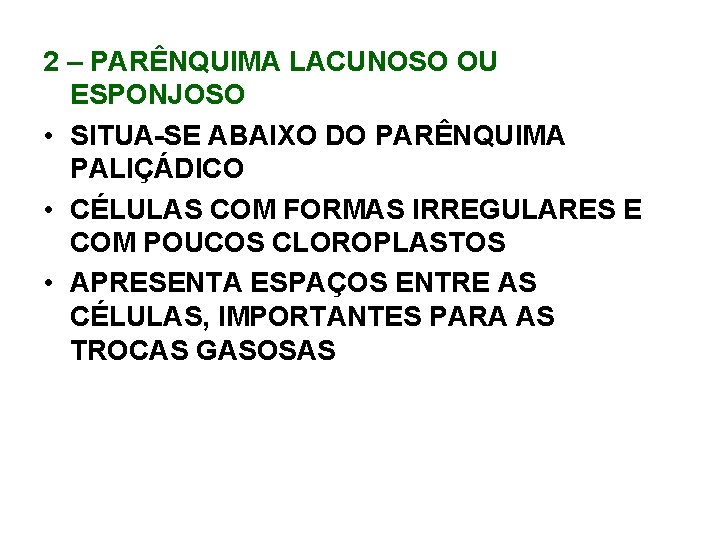 2 – PARÊNQUIMA LACUNOSO OU ESPONJOSO • SITUA-SE ABAIXO DO PARÊNQUIMA PALIÇÁDICO • CÉLULAS 2 – PARÊNQUIMA LACUNOSO OU ESPONJOSO • SITUA-SE ABAIXO DO PARÊNQUIMA PALIÇÁDICO • CÉLULAS