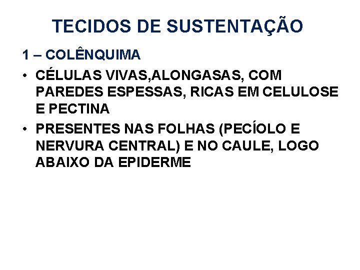 TECIDOS DE SUSTENTAÇÃO 1 – COLÊNQUIMA • CÉLULAS VIVAS, ALONGASAS, COM PAREDES ESPESSAS, RICAS TECIDOS DE SUSTENTAÇÃO 1 – COLÊNQUIMA • CÉLULAS VIVAS, ALONGASAS, COM PAREDES ESPESSAS, RICAS