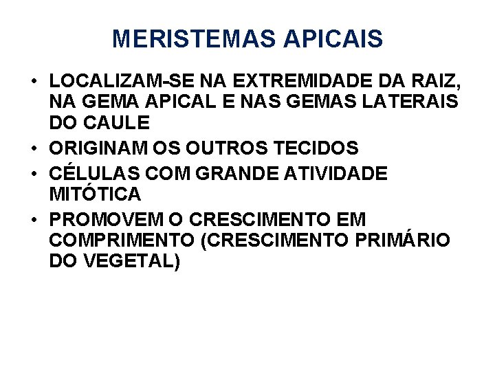 MERISTEMAS APICAIS • LOCALIZAM-SE NA EXTREMIDADE DA RAIZ, NA GEMA APICAL E NAS GEMAS MERISTEMAS APICAIS • LOCALIZAM-SE NA EXTREMIDADE DA RAIZ, NA GEMA APICAL E NAS GEMAS