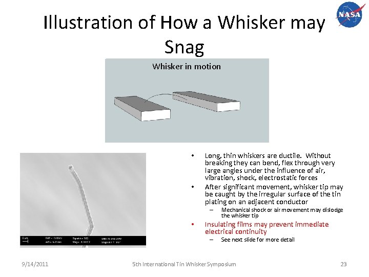 Illustration of How a Whisker may Snag Whisker in motion • • Long, thin