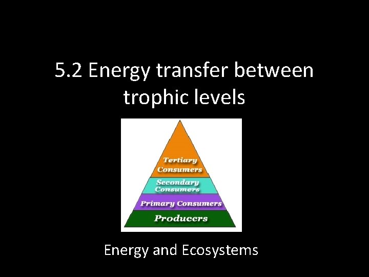 5. 2 Energy transfer between trophic levels Energy and Ecosystems 