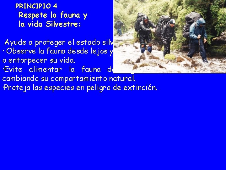 PRINCIPIO 4 Respete la fauna y la vida Silvestre: Ayude a proteger el estado