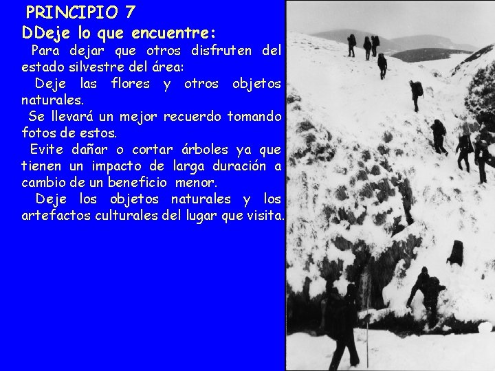 PRINCIPIO 7 DDeje lo que encuentre: Para dejar que otros disfruten del estado silvestre