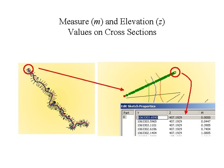 3 -D Polyline Z Measure (m) and Elevation (z) Values on Cross Sections 