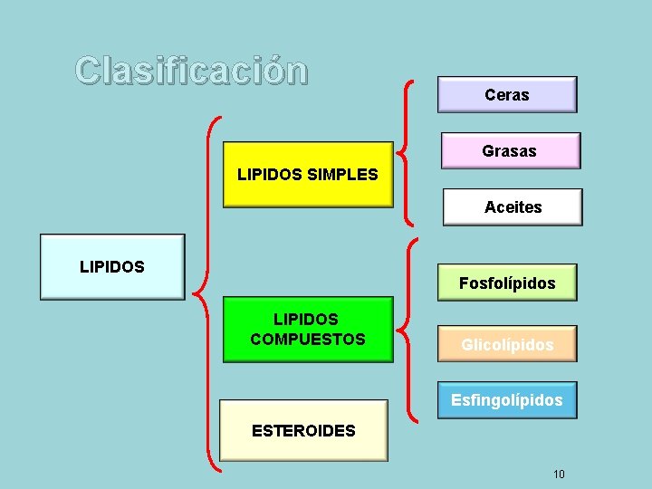 Clasificación Ceras Grasas LIPIDOS SIMPLES Aceites LIPIDOS Fosfolípidos LIPIDOS COMPUESTOS Glicolípidos Esfingolípidos ESTEROIDES 10