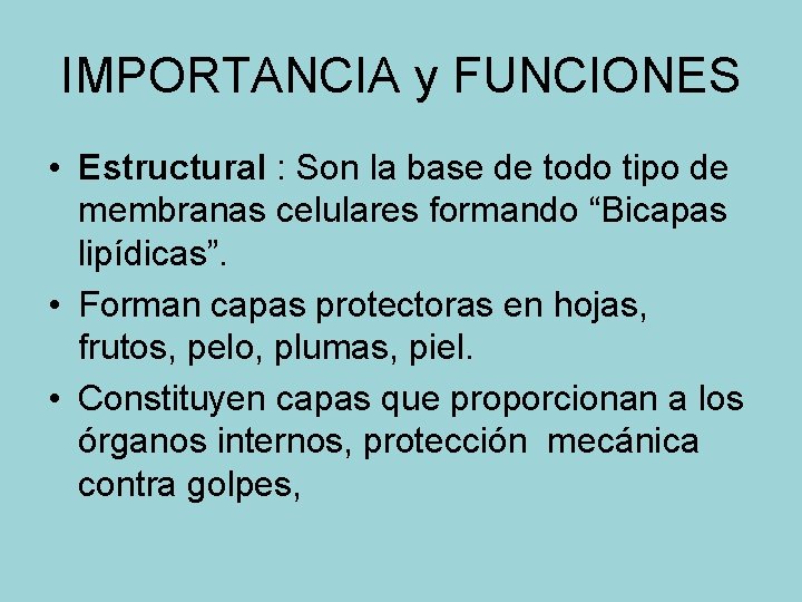 IMPORTANCIA y FUNCIONES • Estructural : Son la base de todo tipo de membranas