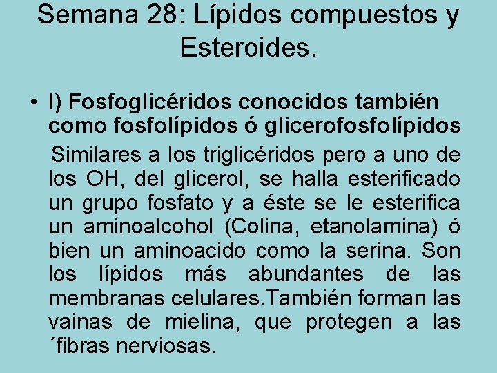 Semana 28: Lípidos compuestos y Esteroides. • I) Fosfoglicéridos conocidos también como fosfolípidos ó