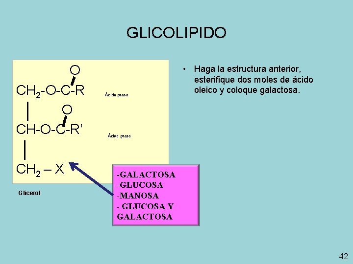 GLICOLIPIDO O CH 2 -O-C-R O CH-O-C-R’ CH 2 – X Glicerol Ácido graso