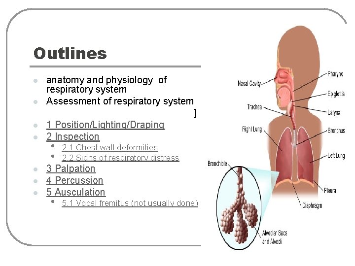 Outlines l l l l anatomy and physiology of respiratory system Assessment of respiratory