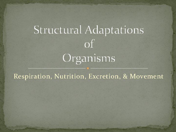Structural Adaptations of Organisms Respiration, Nutrition, Excretion, & Movement 