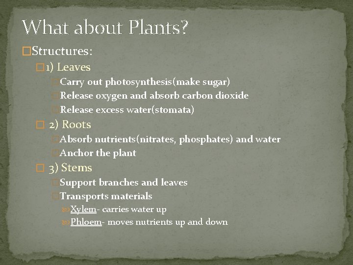 What about Plants? �Structures: � 1) Leaves �Carry out photosynthesis(make sugar) �Release oxygen and