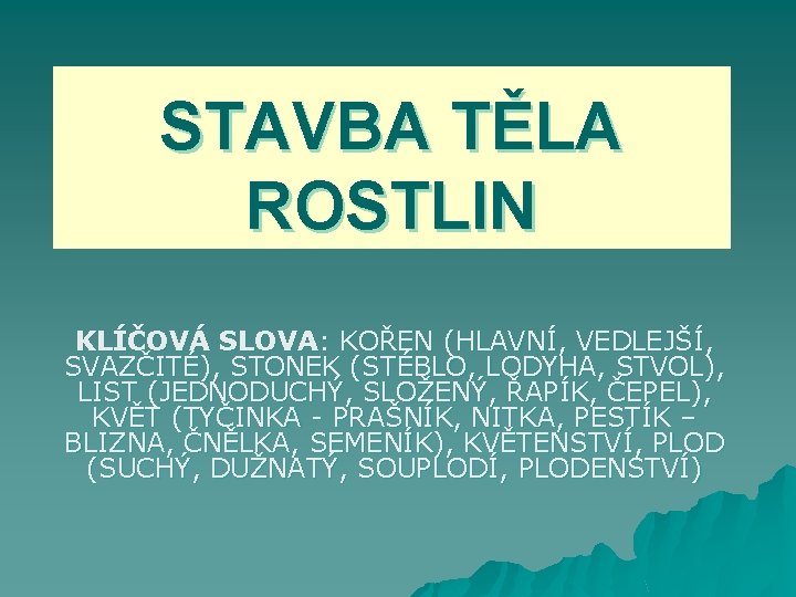 STAVBA TĚLA ROSTLIN KLÍČOVÁ SLOVA: KOŘEN (HLAVNÍ, VEDLEJŠÍ, SVAZČITÉ), STONEK (STÉBLO, LODYHA, STVOL), LIST