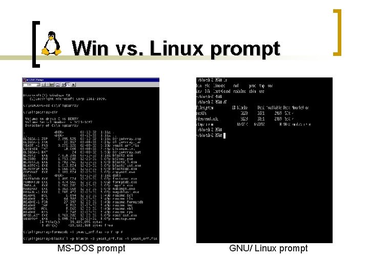 Win vs. Linux prompt MS-DOS prompt GNU/ Linux prompt 