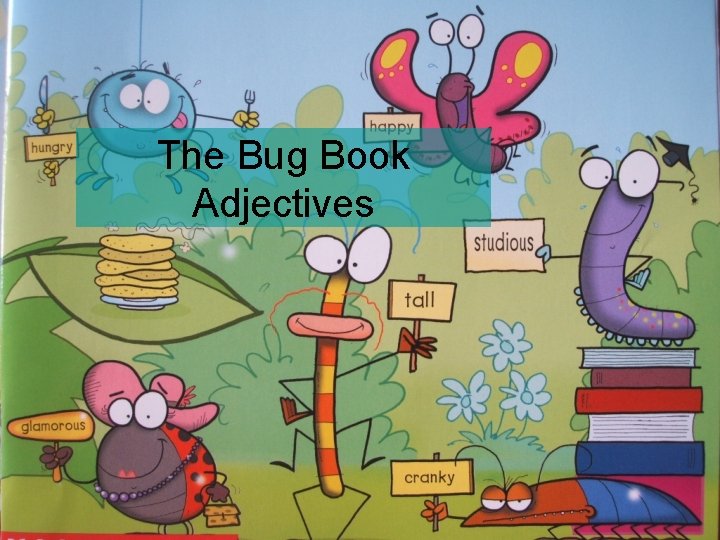 The Bug Book Adjectives 