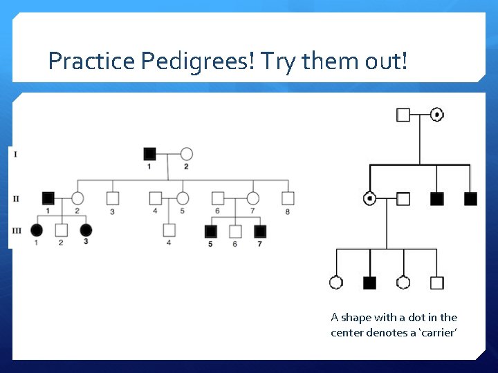 Practice Pedigrees! Try them out! A shape with a dot in the center denotes