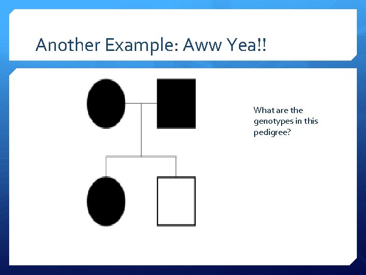 Another Example: Aww Yea!! What are the genotypes in this pedigree? 