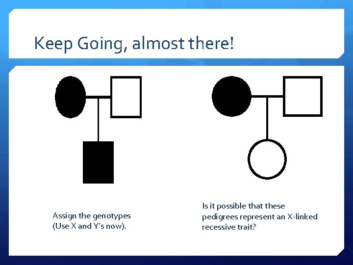 Keep Going, almost there! Assign the genotypes (Use X and Y’s now). Is it