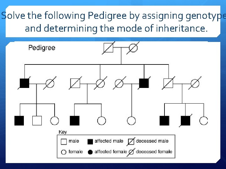 Solve the following Pedigree by assigning genotype and determining the mode of inheritance. 