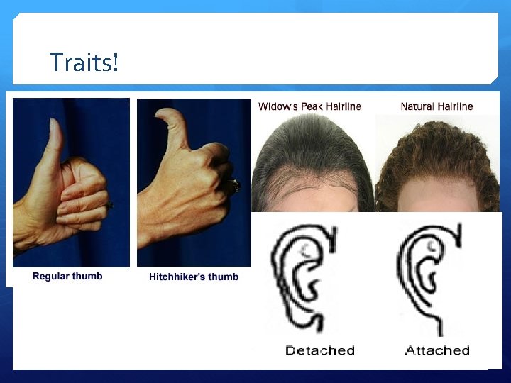 Traits! 