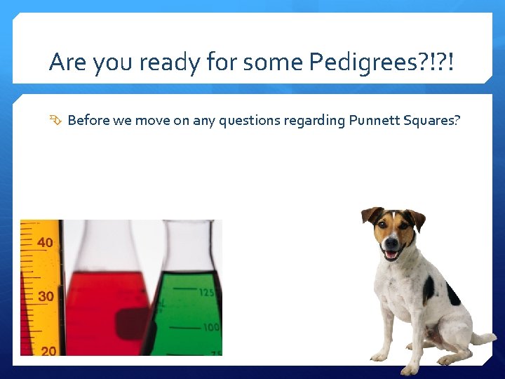 Are you ready for some Pedigrees? !? ! Before we move on any questions