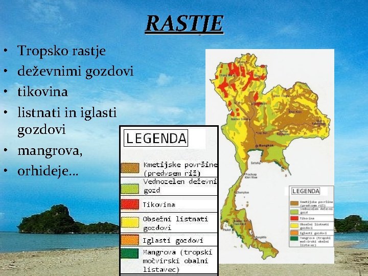 RASTJE • • Tropsko rastje deževnimi gozdovi tikovina listnati in iglasti gozdovi • mangrova,