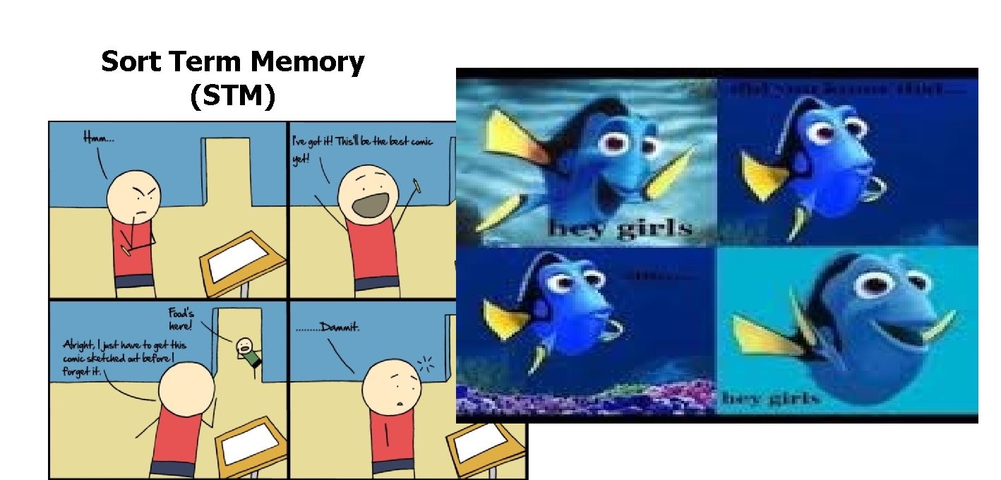 Sort Term Memory (STM) 