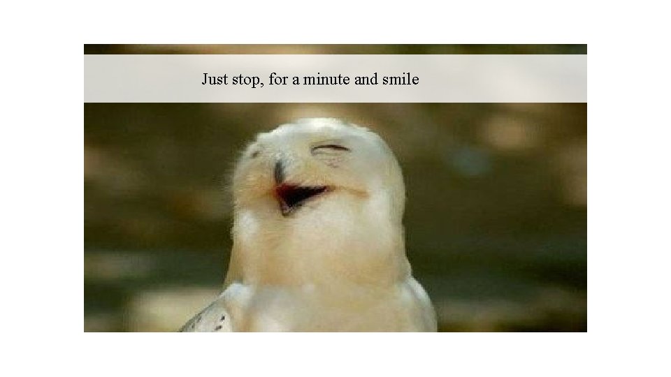 Just stop, for a minute and smile 