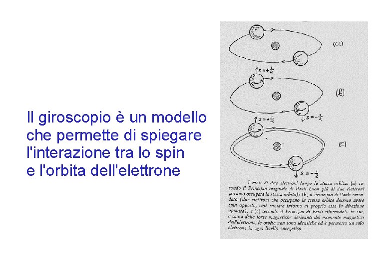 Il giroscopio è un modello che permette di spiegare l'interazione tra lo spin e