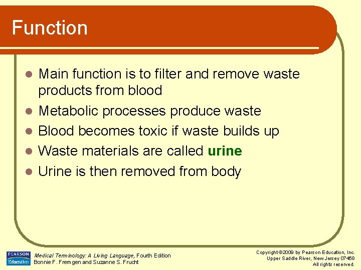 Function l l l Main function is to filter and remove waste products from