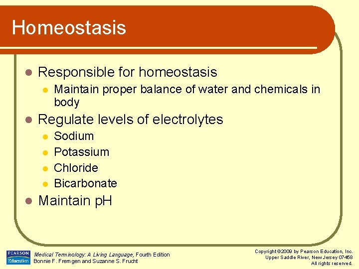 Homeostasis l Responsible for homeostasis l l Regulate levels of electrolytes l l l