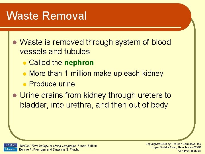 Waste Removal l Waste is removed through system of blood vessels and tubules l